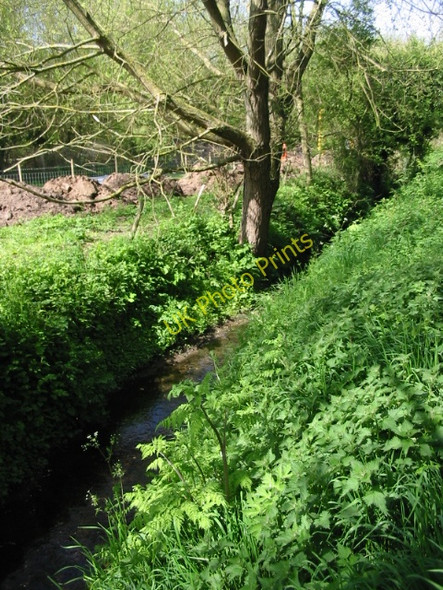 Photo 6"x4" Small stream or drainage ditch near Whitehall Farm Canterbury\/TR1457 c2008