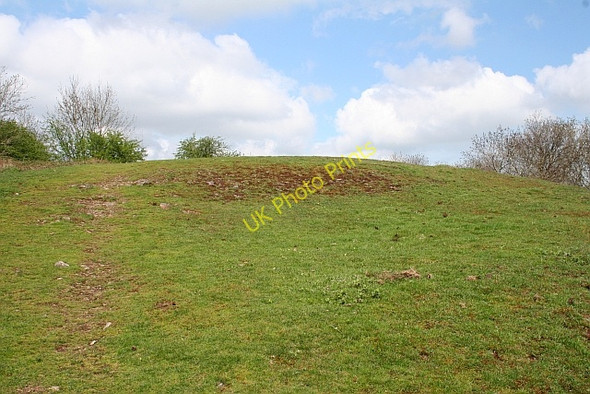 Photo 6"x4" Iron-Age Hut Platform, Hollybush Hill Hollybush\/SO7636 c2008