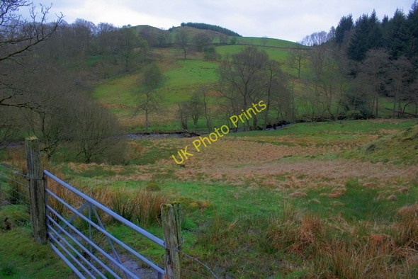 Photo 6"x4" Farra Grain Gill Satterthwaite c2008