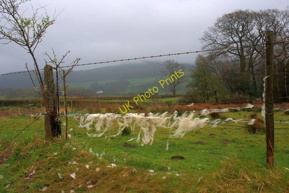 Photo 6"x4" Fence Alongside the River Pool Causeway End\/SD3484 c2008