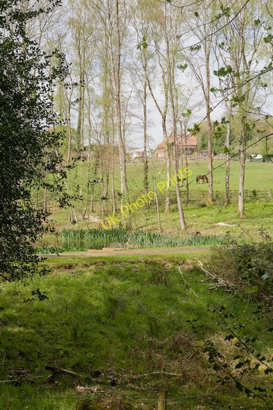 Photo 6"x4" New pond south of Cartref Cottage, Stoney Cross Stoney Cross c2008