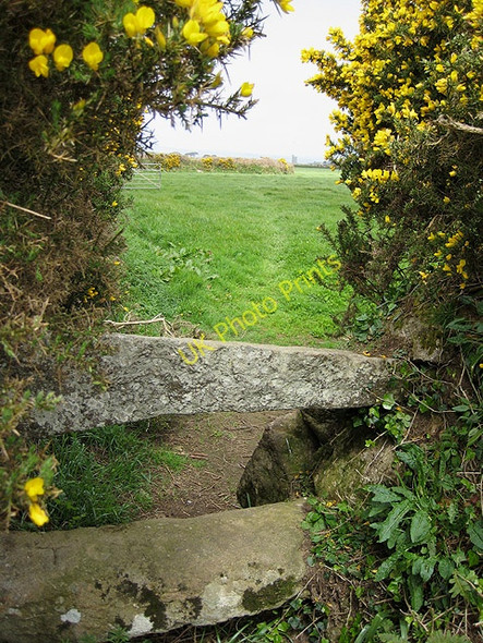 Photo 6"x4" Footpath to Paul Castallack c2008