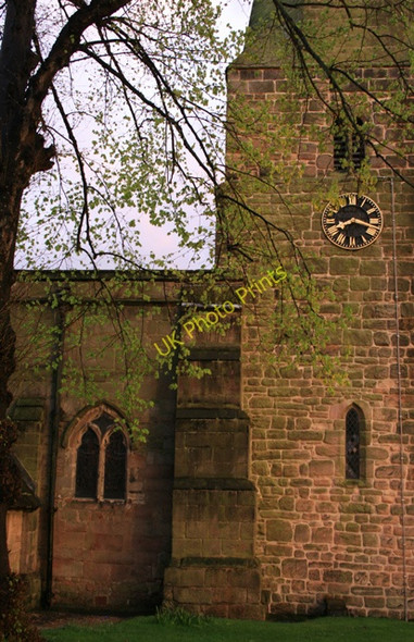 Photo 6"x4" Beech Tree and St Michael's, Breaston Breaston c2008
