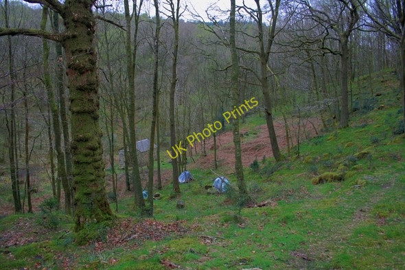 Photo 6"x4" Building in Woodland Force Forge c2008