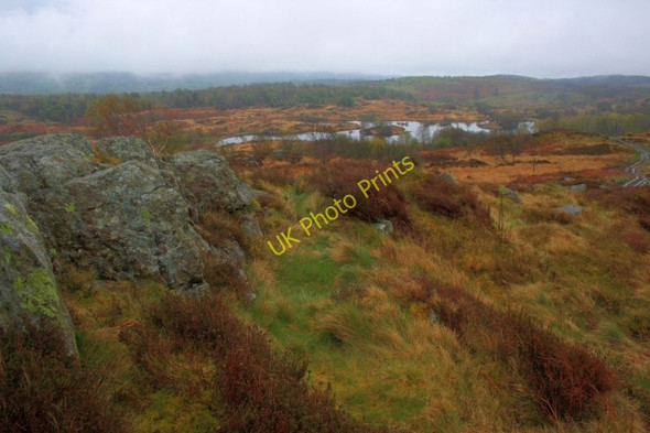 Photo 6"x4" View of the Tarn Seatle c2008