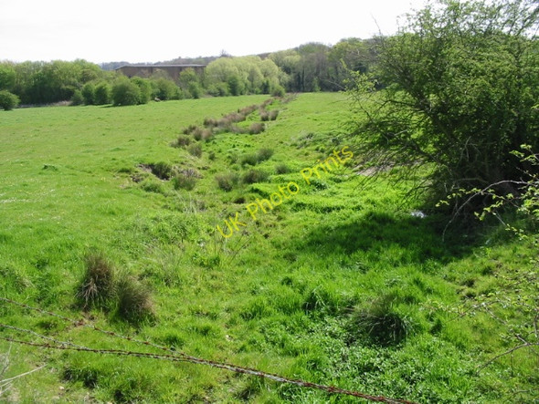 Photo 6"x4" View along dried up stream bed Chartham c2008