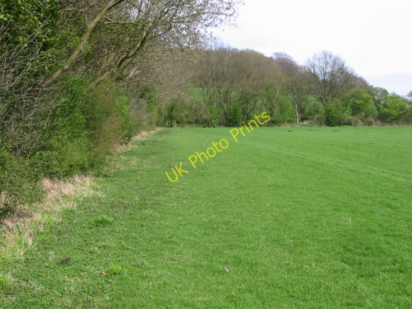 Photo 6"x4" Looking E along field edge Bagham c2008
