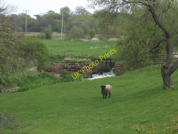Photo 6"x4" Sluice on the River Tern Market Drayton c2008
