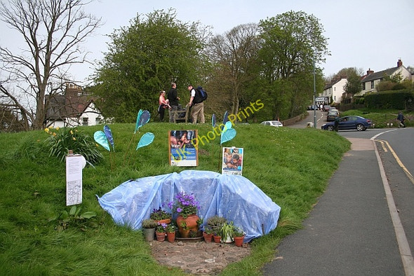 Photo 6"x4" Well Dressing 2008: The Wyche Spring Upper Colwall c2008