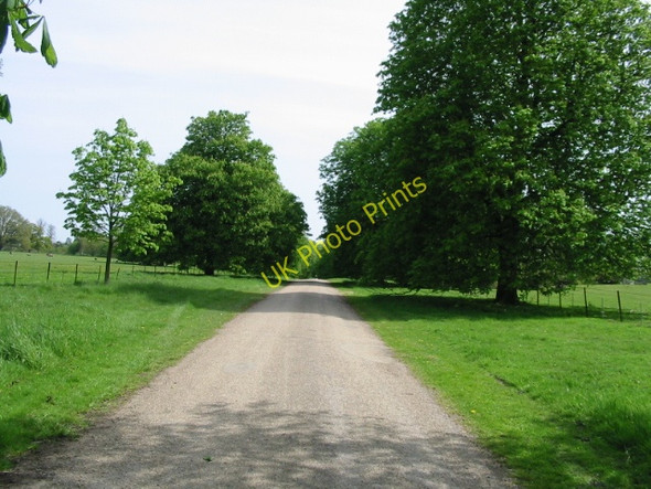 Photo 6"x4" Private road to Hole Park Beacon Hill\/TQ8232 c2008