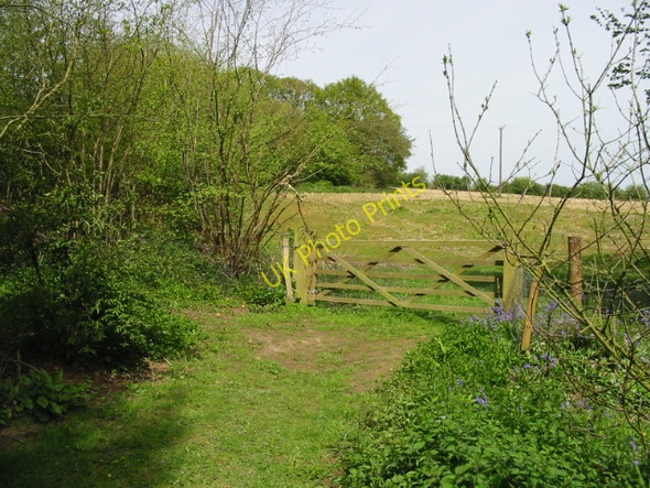 Photo 6"x4" Field entrance from Brick Kiln Wood, Hole Park Beacon Hill\/TQ8232 c2008