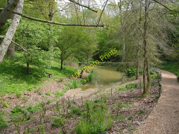Photo 6"x4" Pond in the gardens of Hole Park Beacon Hill\/TQ8232 c2008