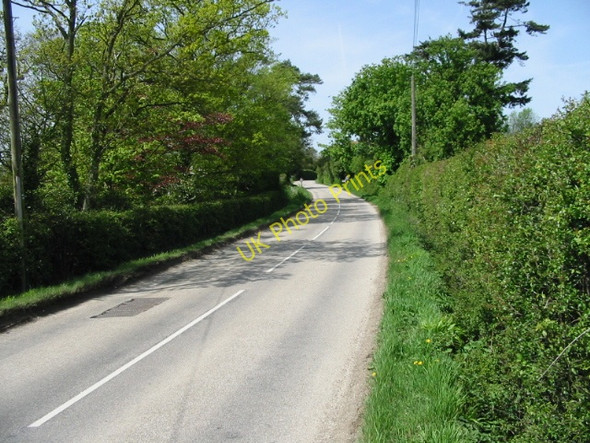 Photo 6"x4" Looking W along the Benenden Road Pullington c2008