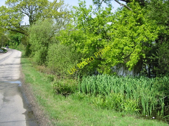 Photo 6"x4" Pond next to the Benenden Road Pullington c2008