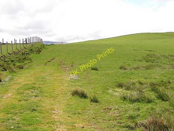 Photo 6"x4" Path to Braichyfedw Braichyfedw c2008