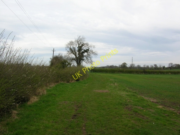 Photo 6"x4" Claxton Bridleway Claxton\/SE6960 c2008