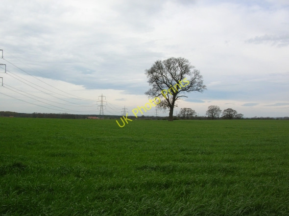 Photo 6"x4" Pylons near Claxton Claxton\/SE6960 c2008