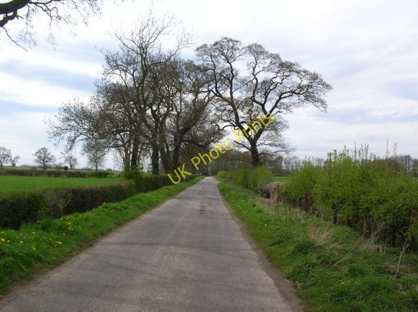 Photo 6"x4" Towards Harton Lodge Plantation Claxton\/SE6960 c2008