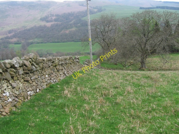 Photo 6"x4" Hillside towards Glenairlie Enterkinfoot c2008