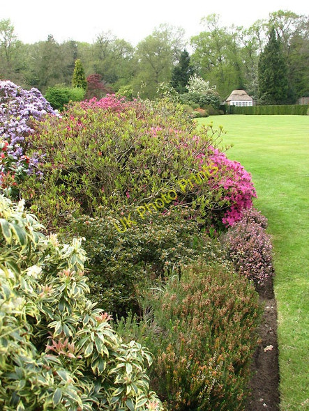 Photo 6"x4" Stody Lodge Gardens Briston\/TG0632 c2008