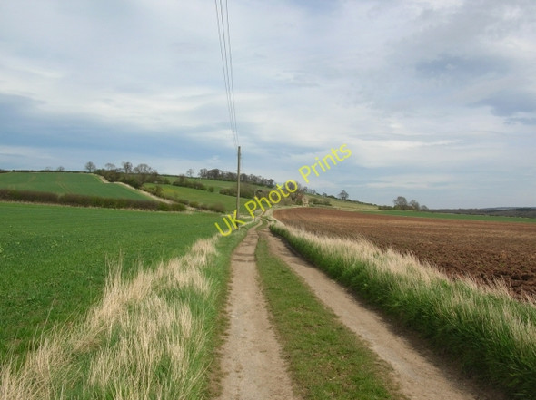 Photo 6"x4" Track approaching Hillside Farm Crambe c2008
