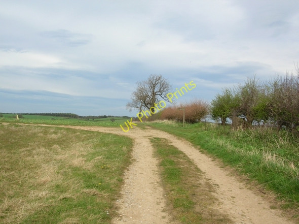 Photo 6"x4" Paths diverge - Top of Whitwell Hill Crambe c2008