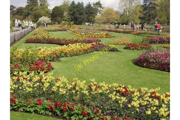 Photo 6"x4" Floral display beds, Kew Gardens Brentford c2008