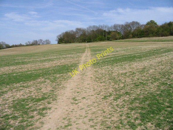 Photo 6"x4" Route of the Stour Valley Walk up Blue Downs Bagham c2008