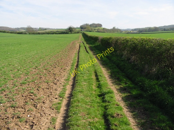 Photo 6"x4" Stour Valley Walk, looking SSE Crundale\/TR0749 c2008