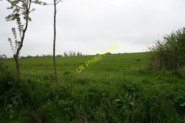 Photo 6"x4" Meadow near Parsonage Farm Longdon\/SO8336 c2008
