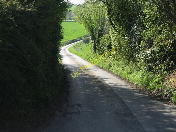 Photo 6"x4" Looking W along a lane Crundale\/TR0749 c2008