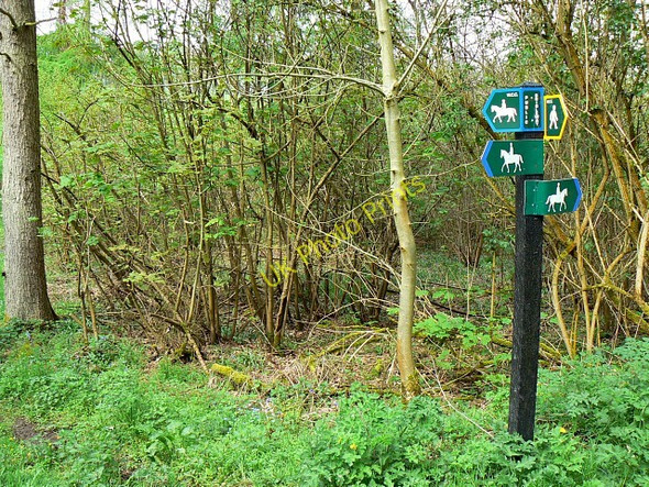 Photo 6"x4" Bridleways and footpath, West Woods, near Marlborough Clench Common c2008