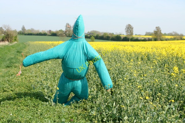 Photo 6"x4" Local character Darrow Green c2008