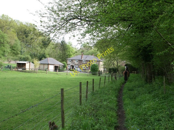 Photo 6"x4" Courtlands from the bridleway Abinger Hammer c2008
