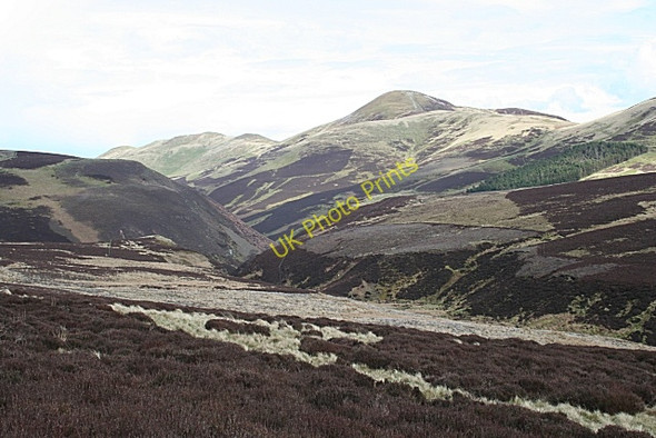 Photo 6"x4" Carnethy Hill from above the Logan Burn Coates\/NT2161 c2008