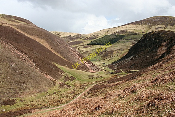 Photo 6"x4" Green Cleugh Silverburn\/NT2060 c2008