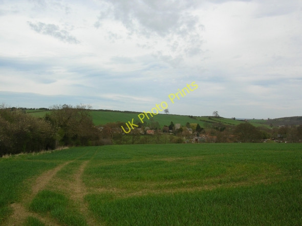 Photo 6"x4" Crambe from the Barton Le Willows track Crambe c2008