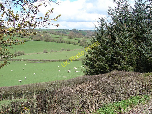 Photo 6"x4" Farmland near Hiriaeth Van\/SN9587 c2008