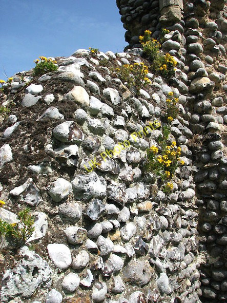 Photo 6"x4" The ruins of St Mary's Priory Sheringham c2008 P1