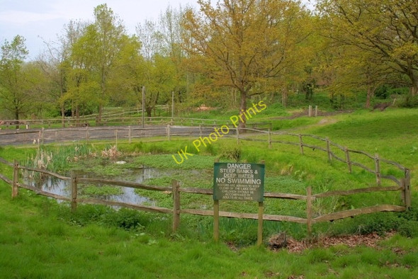 Photo 6"x4" Pond, Denny Bottom Royal Tunbridge Wells c2008