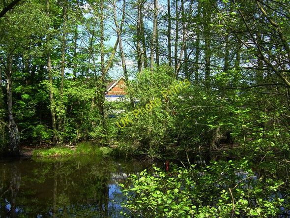 Photo 6"x4" Lake near Frimley Railway Station Frimley c2008