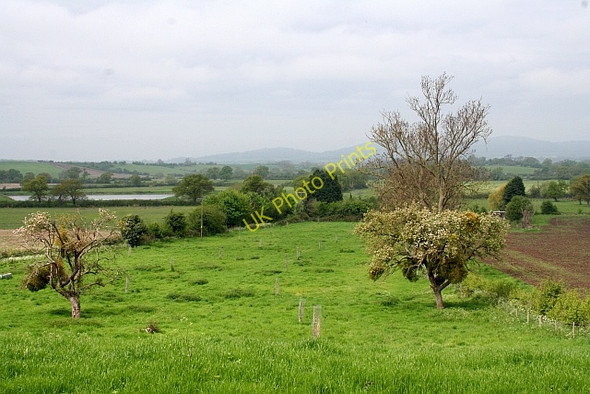 Photo 6"x4" Old Orchard, Hill Court Buckbury c2008