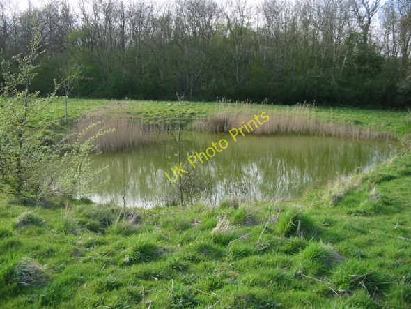 Photo 6"x4" One of two ponds on the top of the hill near Marriage Farm Hassell Street c2008