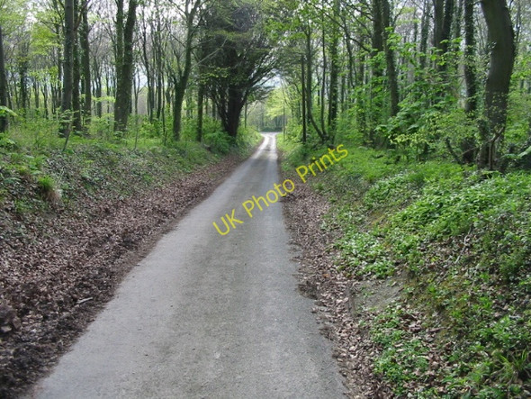 Photo 6"x4" Looking W along minor lane near Wye Wye c2008