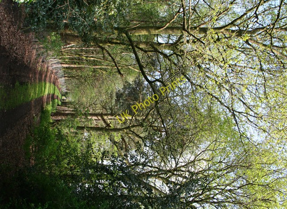 Photo 6"x4" Track beside Twemlows Big Wood Prees Higher Heath c2008