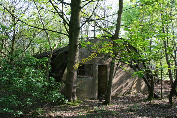 Photo 6"x4" Derelict Nissen hut in Twemlows Big Wood Prees Higher Heath c2008