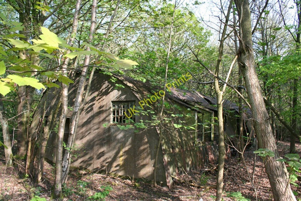 Photo 6"x4" Derelict Nissen hut in Twemlows Big Wood: another view Prees Higher Heath c2008