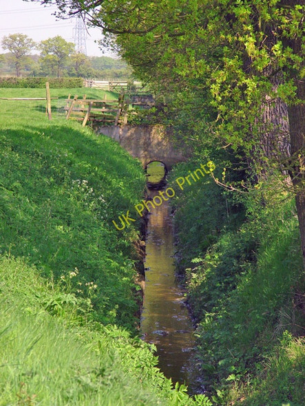 Photo 6"x4" Bubwith and Harlthorpe Drain, East Yorks. Highfield\/SE7236 c2008