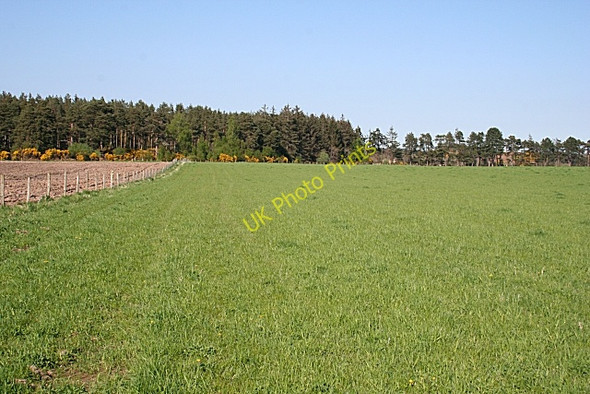 Photo 6"x4" Sanquhar Mains Forres c2008