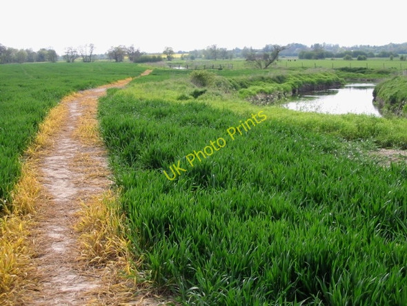 Photo 6"x4" The Stour Valley Walk and the Great Stour Naccolt c2008
